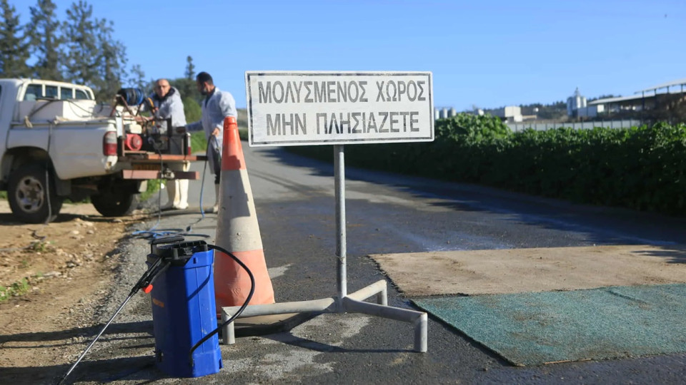 Αφθώδης πυρετός: Πολύ δύσκολη, αλλά διαχειρίσιμη η κατάσταση, λέει ο Σ. Μαλάς